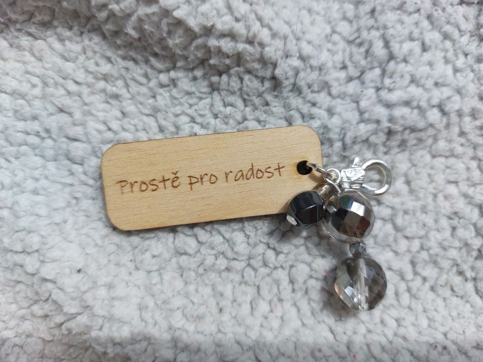 Prostě pro radost
