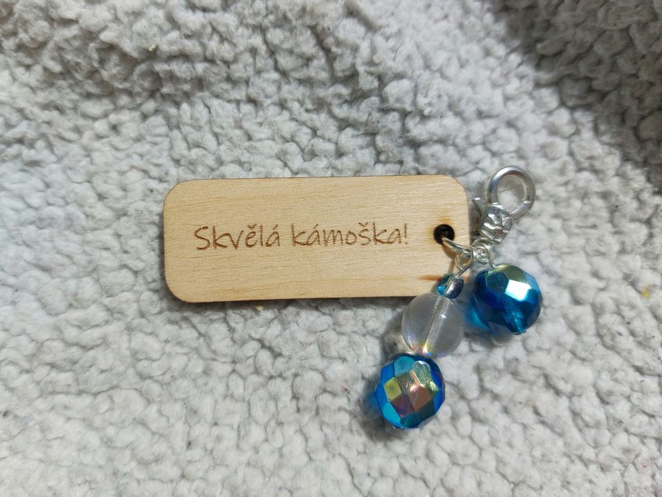 Skvělá kámoška