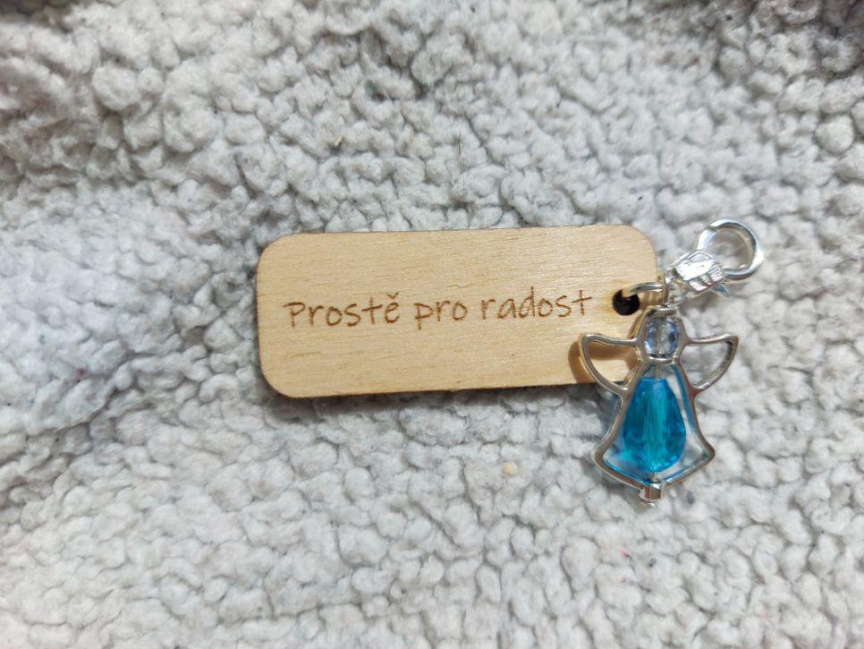 Prostě pro radost