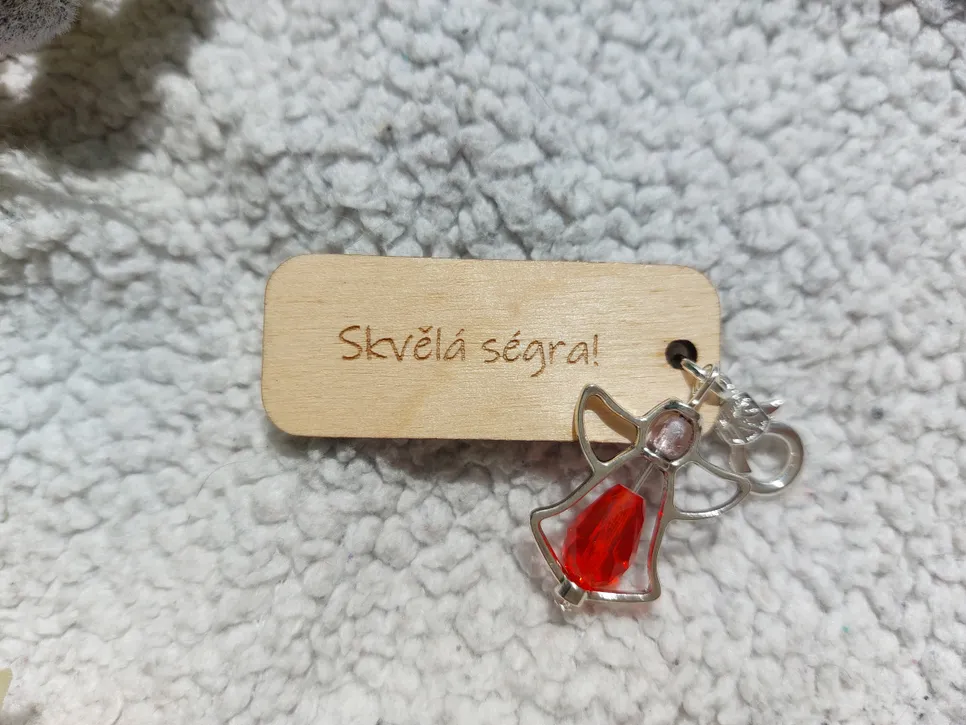 Skvělá ségra