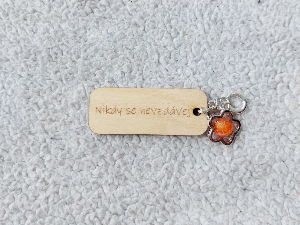 Nikdy se nevzdávej